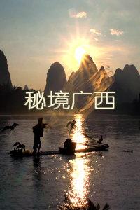 探索经常性喝酒会对身体带来哪些危害?-易懂的知识问答网页